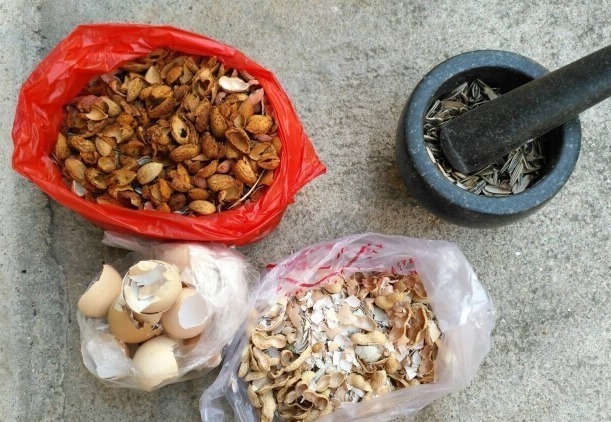 盆土|花盆里放一个小玩意,盆土常年透气不板结,盆栽长得壮开花多