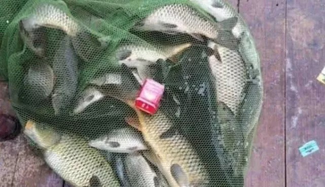 不是跟你吹,打窝只需谨记三个绝招,不管在哪钓,你就偷着乐吧!