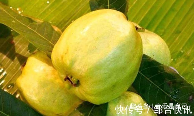 葡萄干|想要长寿,4种食物别放过,清理血管,清肠减肥,谁吃谁受益