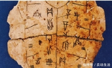 古代能止血奇药的“金疮药”为什么会失传?