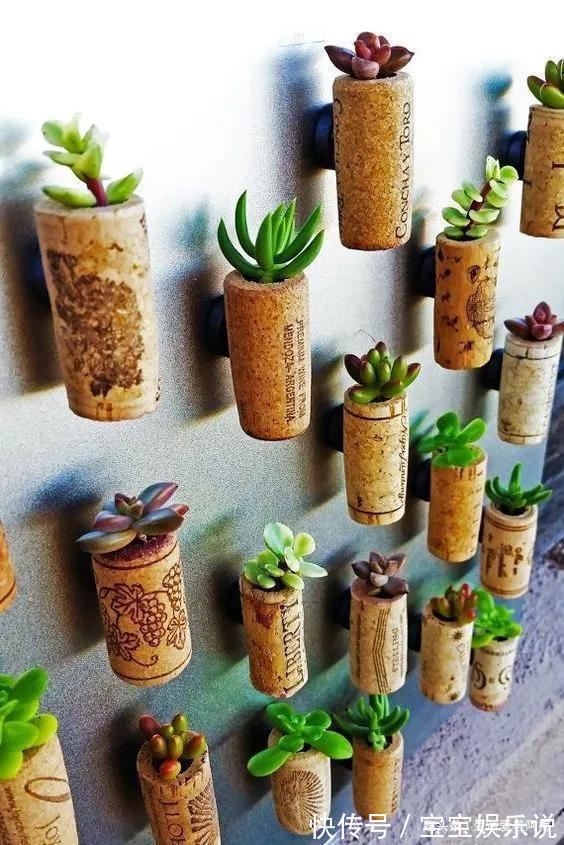软木塞|一个木塞百种姿态，酒瓶塞攒起来搞创意，一个不嫌少，再多不算多