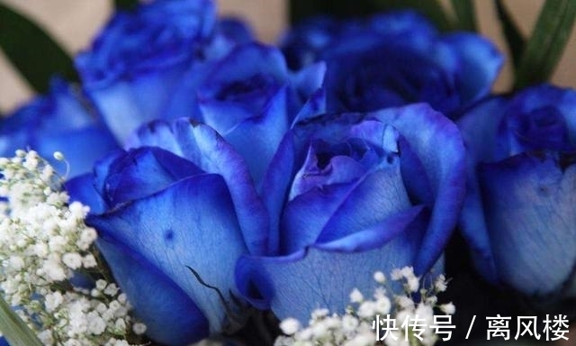 大星座|相当懒、却超有福的4大星座女,会被老公宠到丧失自理能力