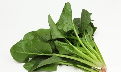 “圆叶菠菜”和“尖叶菠菜”有啥区别?菜农:差别很大,别挑错了