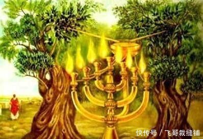 圣经揭秘撒迦利亚书两棵橄榄树是代表所罗巴伯和约书亚吗 快资讯