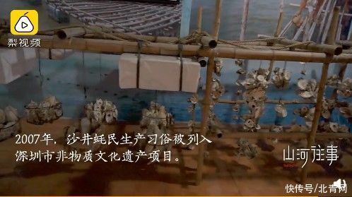 深圳闹市藏26万平方米千年古墟，宋代开始人工养蚝