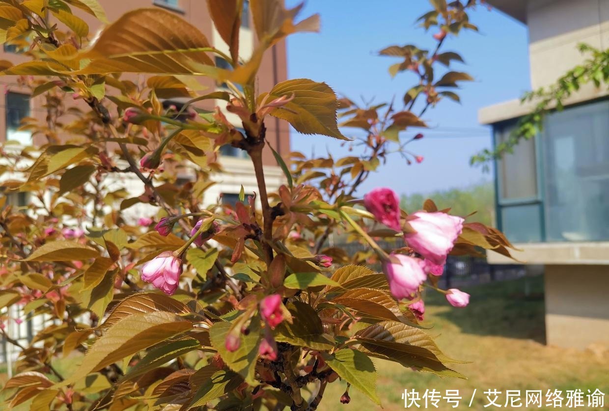 长久之计|曾国藩:居官不过偶然之事,居家乃是长久之计