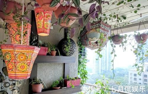 闲人|这样的阳台,那院子我也不换,美得太过分,今生只做个闲人了!