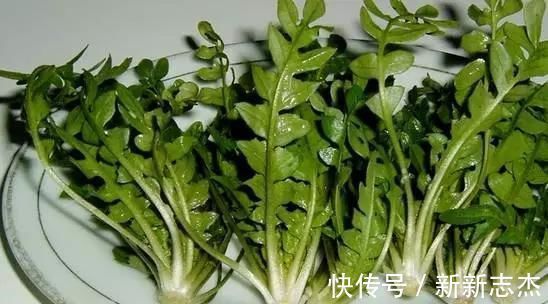 血压|高血压不用依靠“药”,常吃这5种食物,或能帮您控制血压更健康