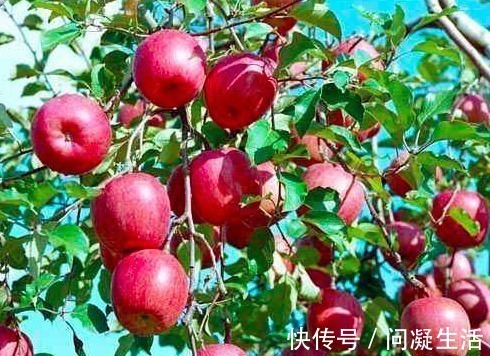 美容|女人到40不想长皱纹,多吃这5种保健水果,个个是宝,嫩肤美容