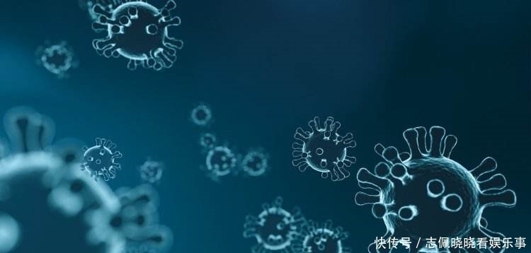 中国终于沉冤得雪！世卫公开新冠真相后，叫得最凶的美国沉默了