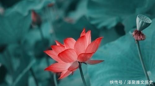 笙簧$南唐中主李璟的千古名篇,第一句便惊艳世人