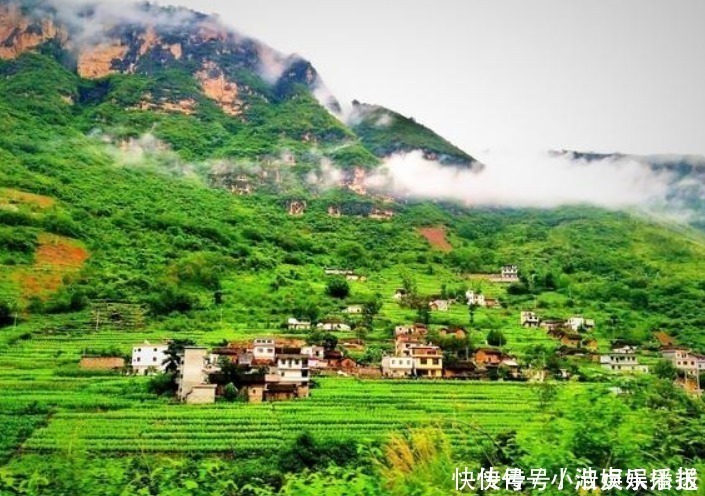 “门前有三树，家兴富三世”，有道理吗别说你不知道！