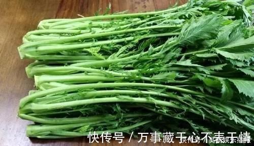 酸菜|腌酸菜不要放盐了,教你新吃法,无任何添加,7天变酸放一年不坏