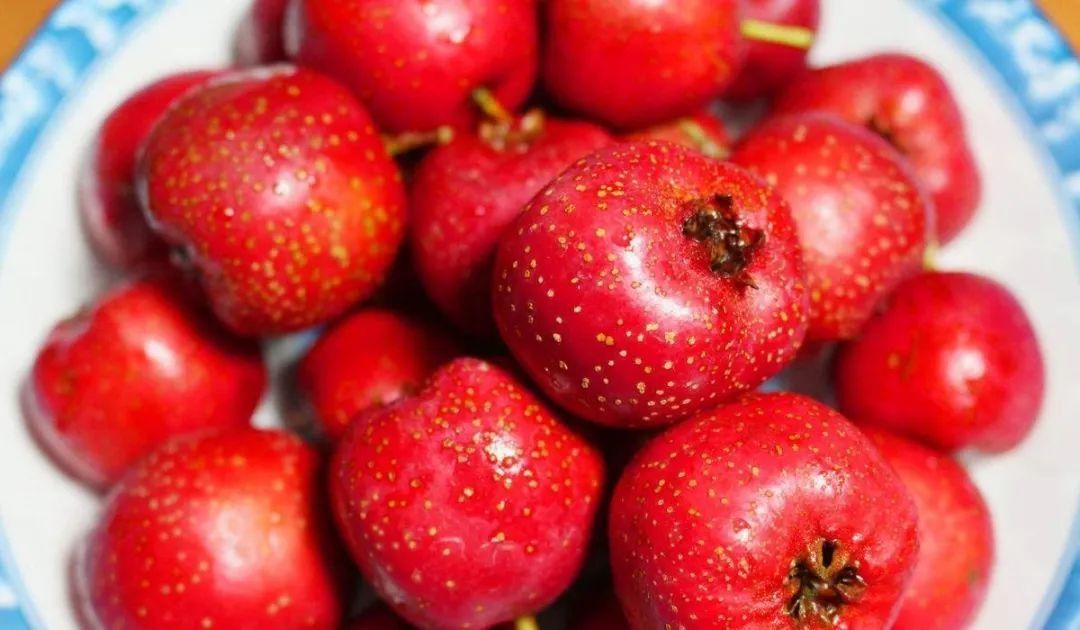 高血脂症|【健康】一颗冬季小果竟是降脂高手！