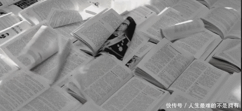 人生|假期 推荐 奇书《人生护城河》 and 神剧《盗抢国家金库的哲学帮派》