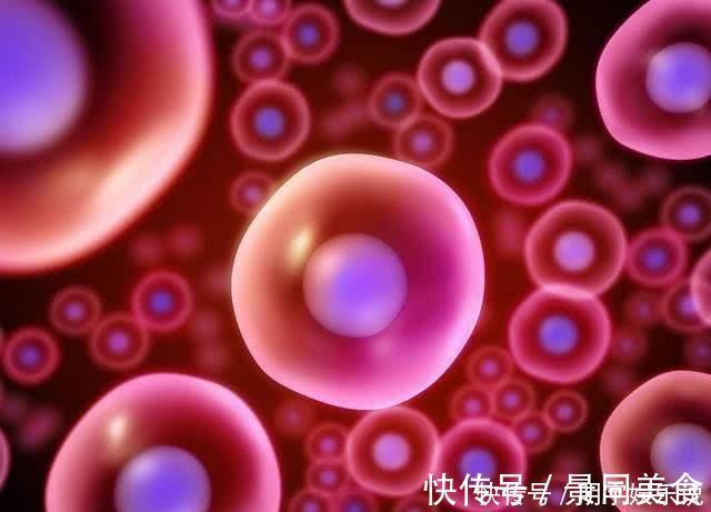 输卵管|如果卵子没遇到精子,那么排出的“卵子”去了哪里害羞也看完