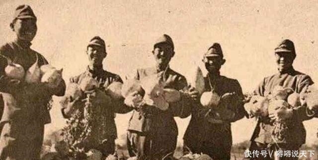 农民阶级|八路军子弹快打光了，70多岁老地主站出来：我家还有十几箱子弹