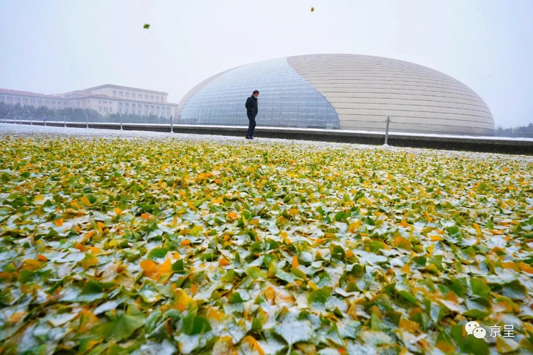 雪花|一场初雪，北京就变成了北平