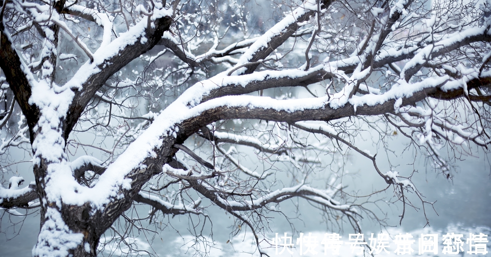 杨建军$绕头诗35首:奇思妙句,感悟世间百态,若有同感,不妨也来一句