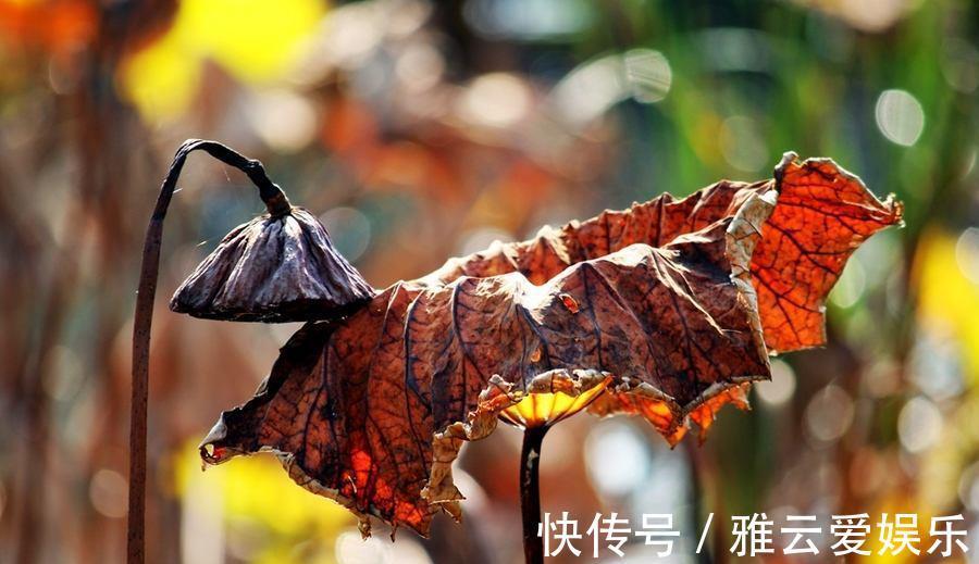 李涉|3个很有意境的千古名句李商隐伤感,王维旷达,李涉诗句流传广