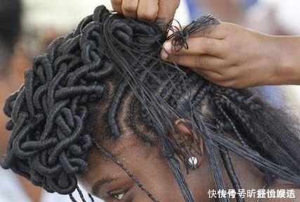 非洲人|非洲人的辫子原来不是为了美观,而是为了不洗澡,防虱子
