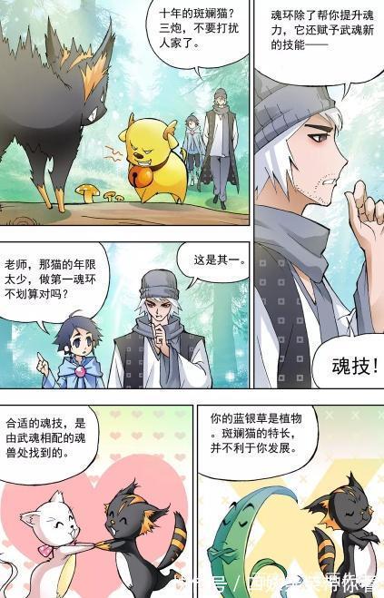 年份|斗罗大陆:大师解读魂环的重要区别!大师与众不同的武魂!