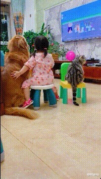 |搞笑GIF趣图朋友请吃饭，叫我一定要带一个灭火器！