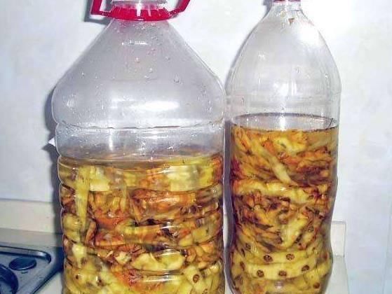 君子兰总是养不活往花盆里加点“好东西”,让植物越长越茂盛