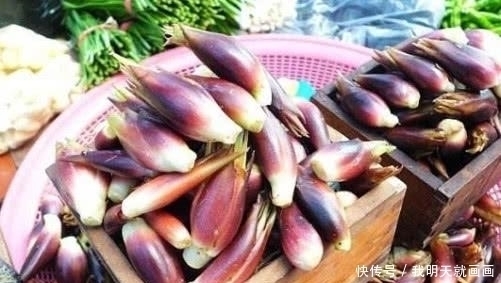 食用价值|山上看到这“山珍”,不要错过了,它在市面上可是能卖到15一斤