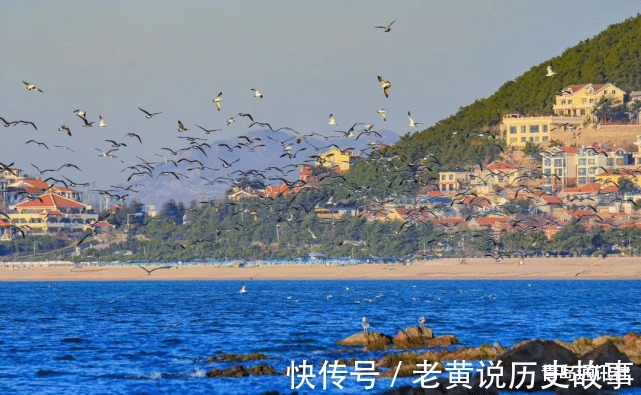 销售额|上半年房企成绩单来了，走马观花一下吧！