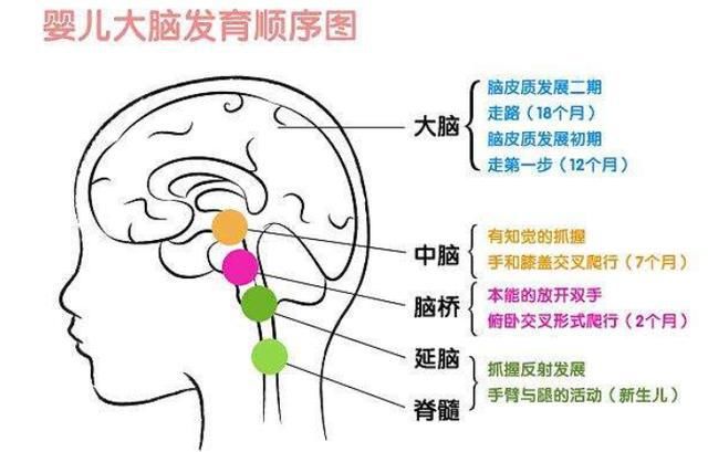 父母|研究表明：孩子10岁前，有三次“变聪明”的机会，父母要抓住