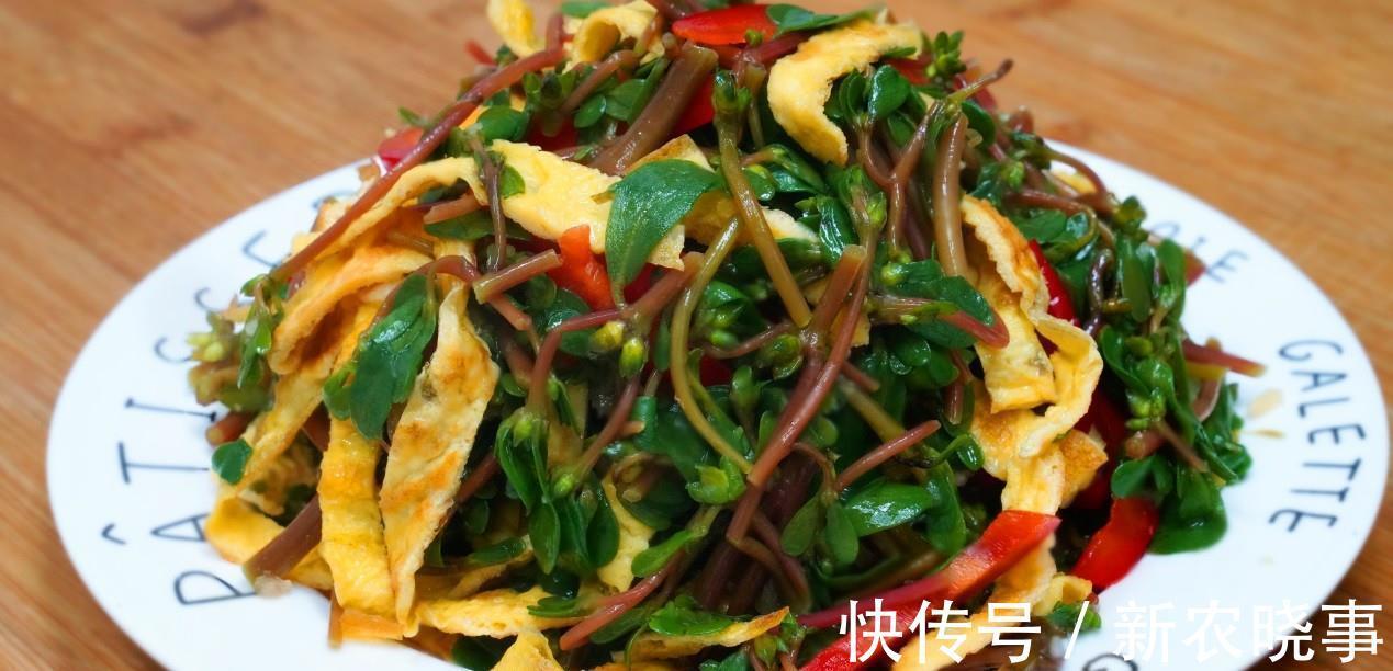 长命菜|遇到此菜我从不还价，碰运气才能买到，简单一做，就是一道特色菜