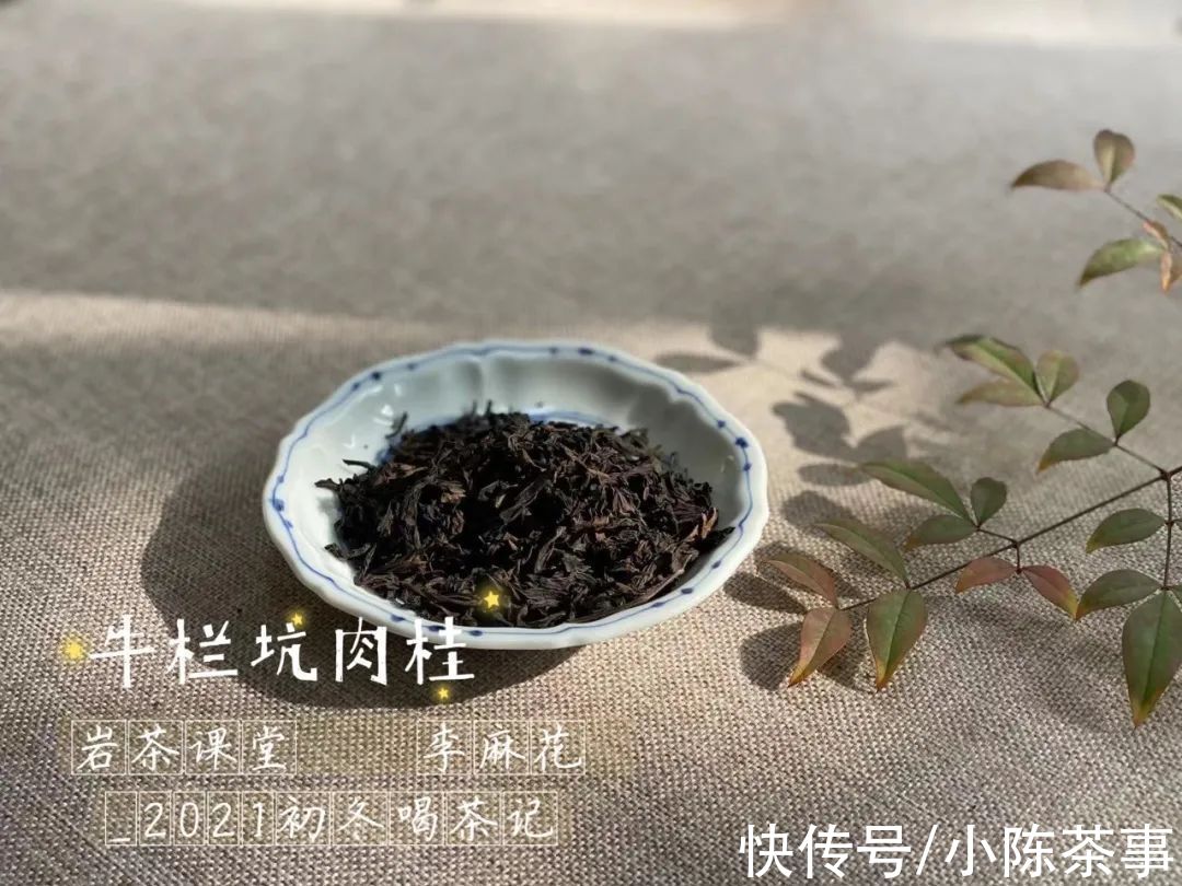 茶香$岩茶里，肉桂怎么区分好坏？听听老茶客的实话，都是踩坑后的血泪