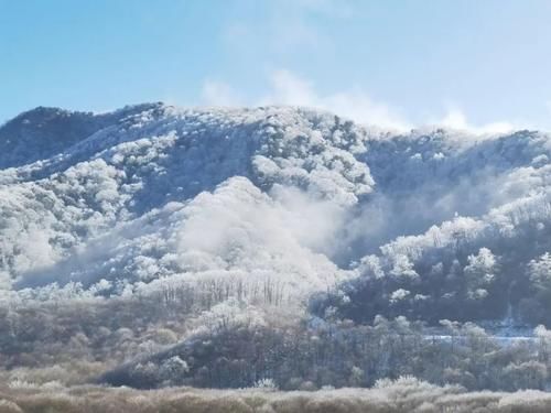 惊艳|惊艳世界，不过是神农架下了场雪……