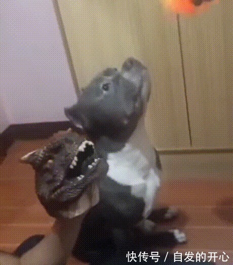 |「被窝段子20220131」生活嘛 慢慢来 所有的好运都在路上