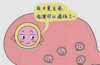 卵泡|有卵泡就能顺利有孕？你要这么认为就错了