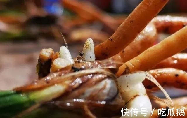 兰花发现空根，只需依照这3步操作，当年就能新根满盆