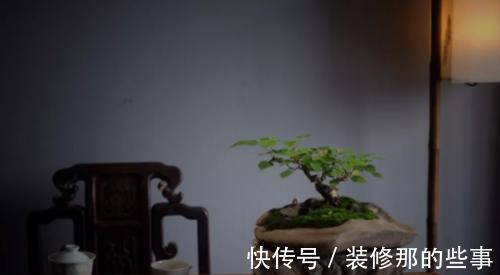 个性|破壶烂瓦做盆,每一个都破出了个性