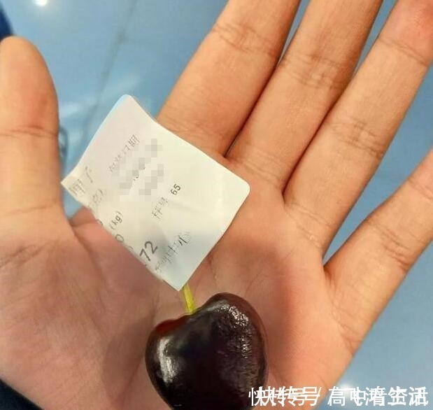 月份儿|孕妈想吃车厘子,老公只买一颗被冷嘲热讽,老公的解释感动全家