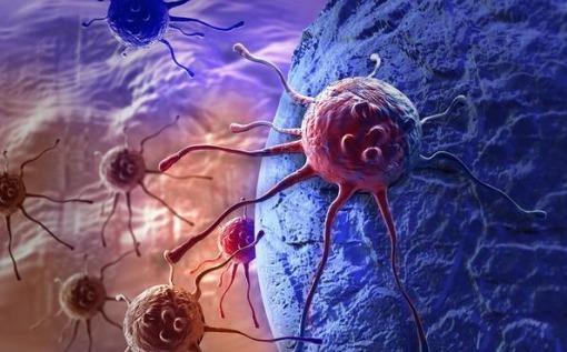 癌症|你得癌的几率有多大或许在娘胎就定下了！5种癌症会遗传！