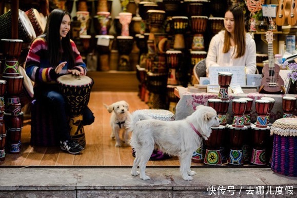 梯田|去云南怎么玩？—我的云南旅游亲身经历分享！最新云南旅游省心省钱攻略