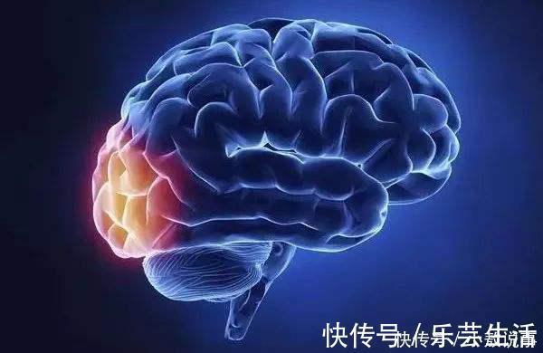 萃枫苷|60岁后想长寿,坚持4个习惯,坚持的越多,寿命就越久