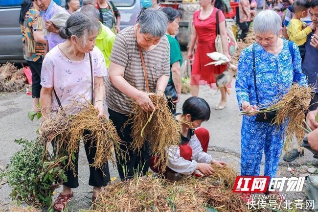 集市|蓝山：端午集市人气旺