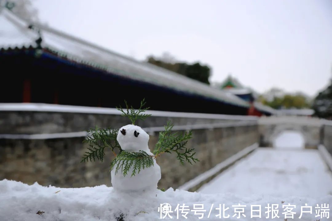 美景|立冬恰逢初雪，北京号带您“云”赏雪后美景