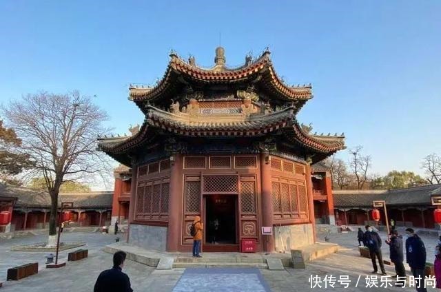 回家|马首“回家”的背后,这些事你知道吗