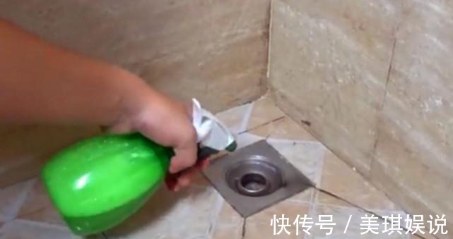 妙招|卫生间潮湿,会有很多小飞虫,大家有什么妙招可以解决?