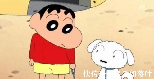 搞笑|《蜡笔小新》中也有遗憾,小白想要成人,最终无法实现