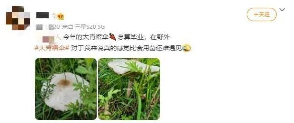 抢救|重庆夫妇吃了小贩卖的菌子后，被送进抢救室！这种菌，云南也有…