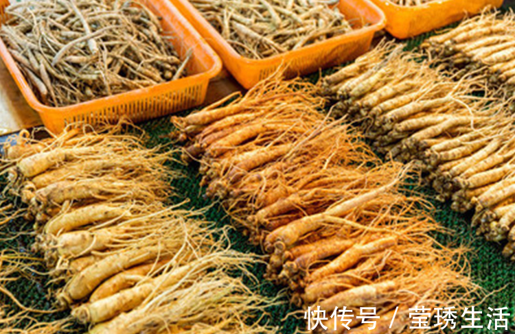 人参|哪些中药,可以提高免疫力以下3味中药,不妨了解一下!
