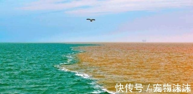 黄河水|为什么长江黄河的淡水都汇入了大海，不能在长江黄河流域储存吗？